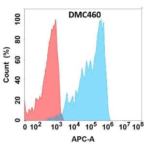 Flow cytometry analysis with Anti-FGFR4 Chimeric Antibody [DMC460] - Azide free (A318730) on Expi293 cells transfected with human FGFR4 (blue histogram) or Expi293 transfected with irrelevant protein (red histogram)