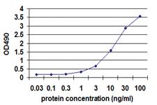 Anti-CD19 Mouse Monoclonal Antibody (Biotin)