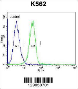 Anti-UAP1L1 Rabbit Polyclonal Antibody (AP (Alkaline Phosphatase))