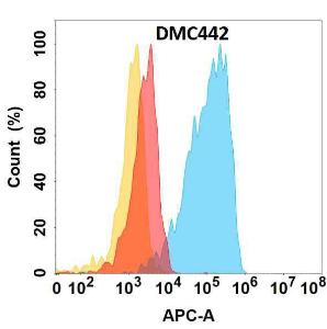 Flow cytometry analysis with Anti-CHODL Chimeric Antibody [DMC442] - Azide free (A318736) on Expi293 cells transfected with human CHODL (blue histogram) or Expi293 transfected with irrelevant protein (red histogram)