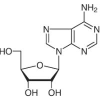 https://be-legacy.vwr.com/stibo/web/std.lang.all/75/99/28927599.jpg